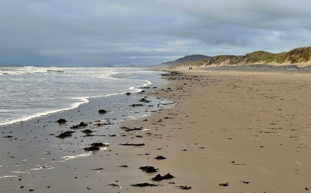 beach near Aberdovey