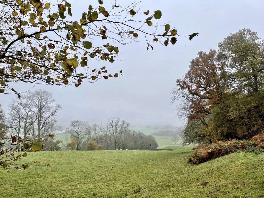 Farmland