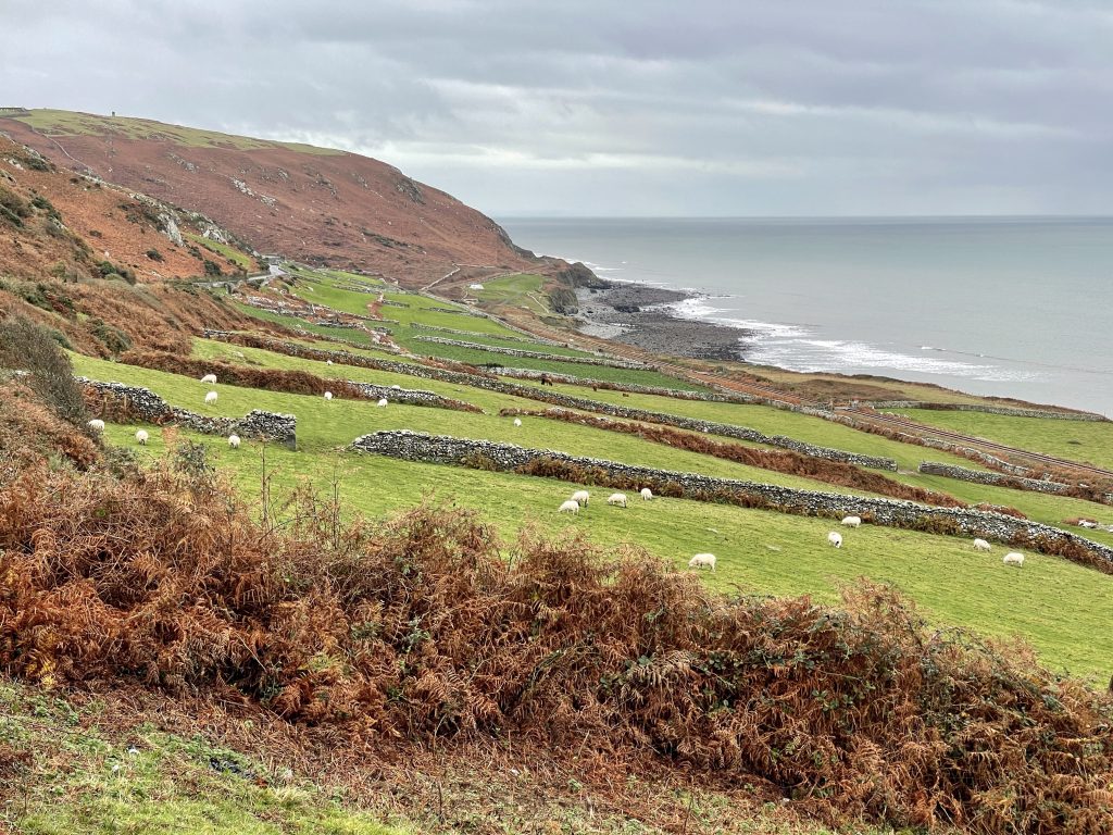 Welsh Coast 