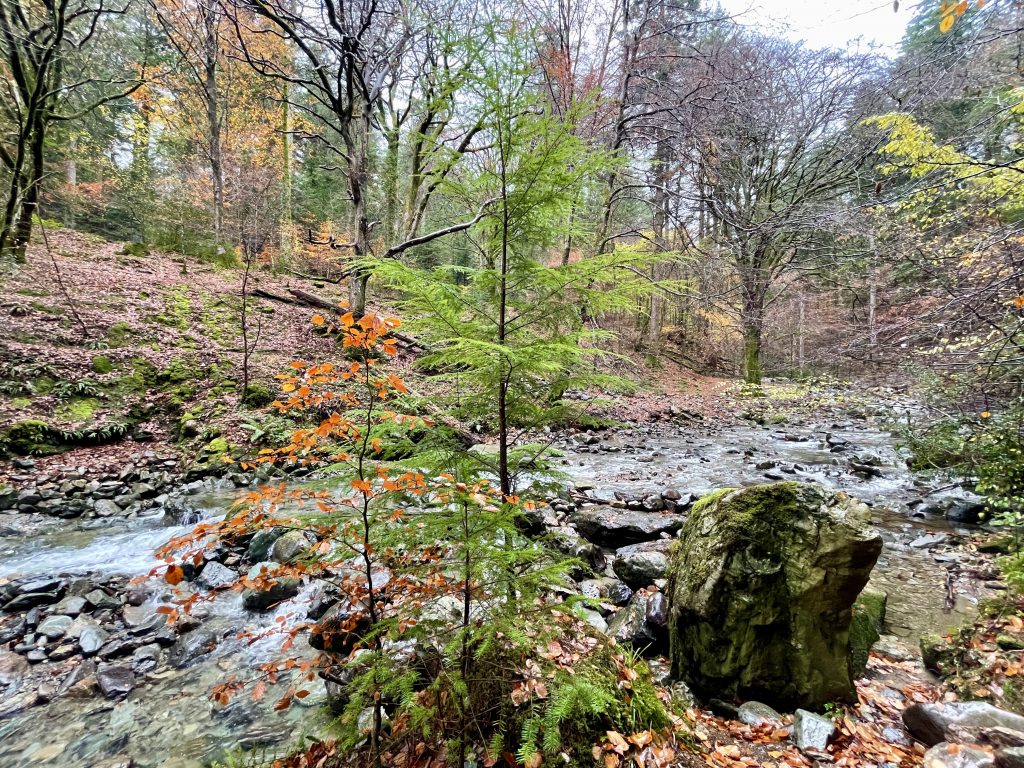 Glasdir river