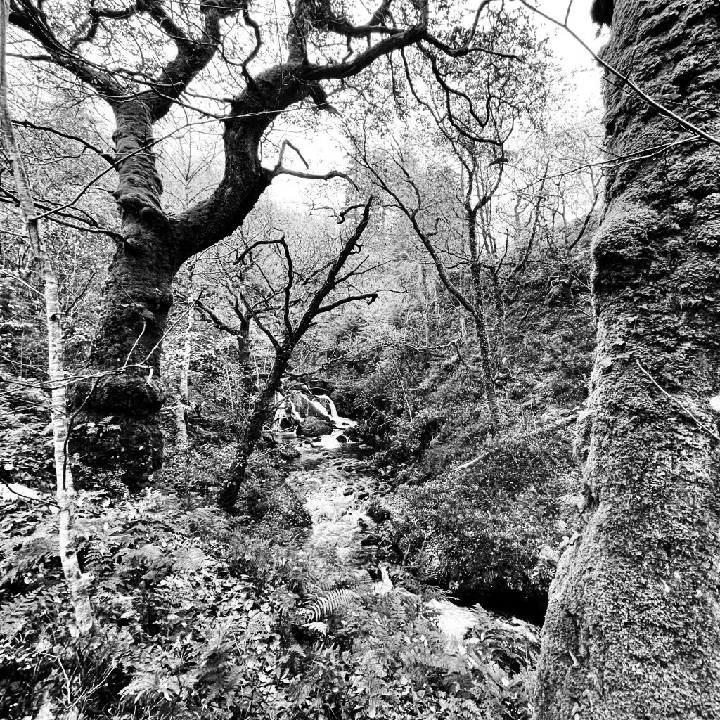 Glasdir waterfall