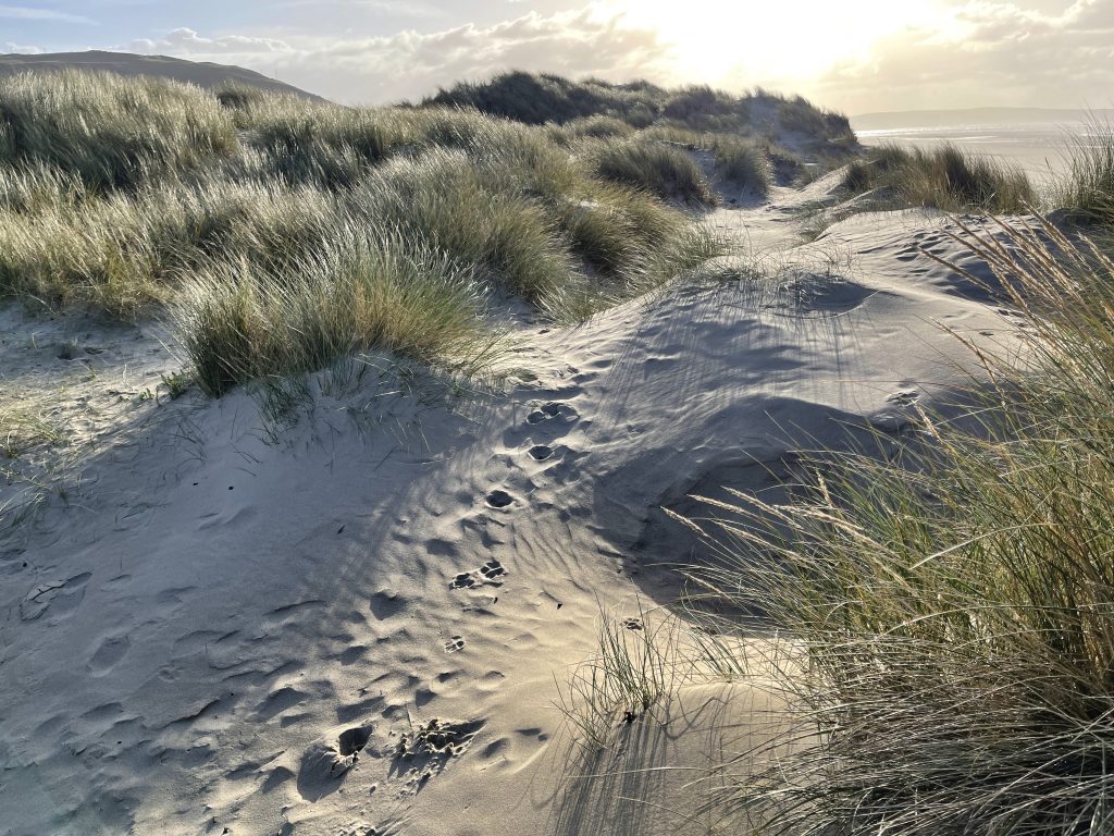 Sand dunes