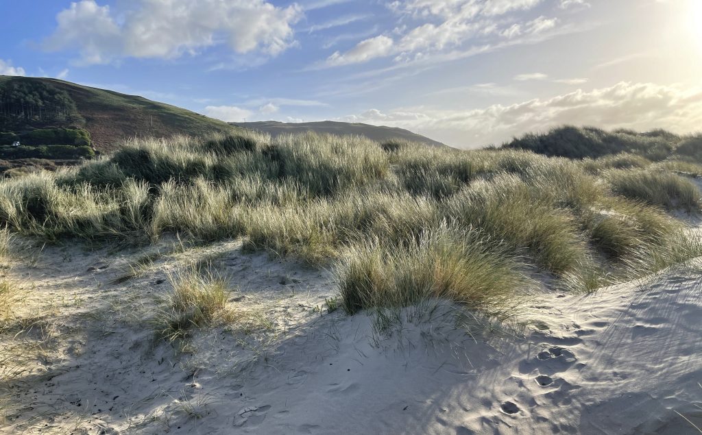 Sand dunes