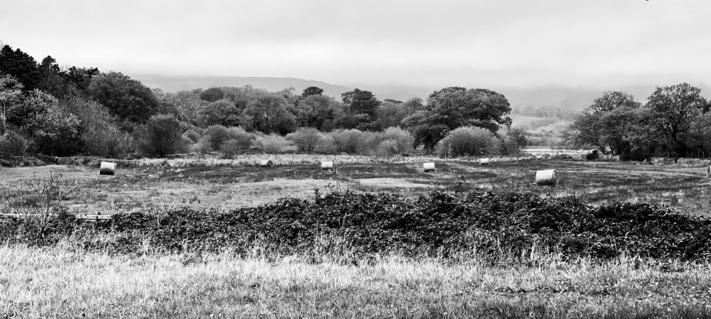 Welsh fields