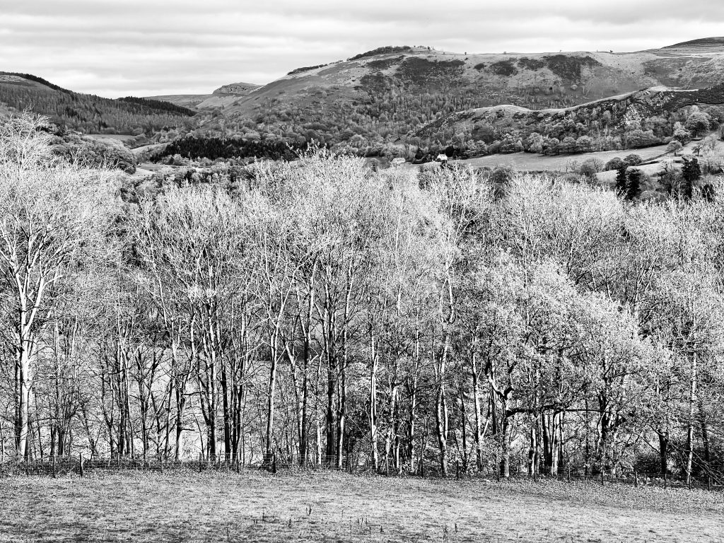 Ansel Adams type image near Llangollen