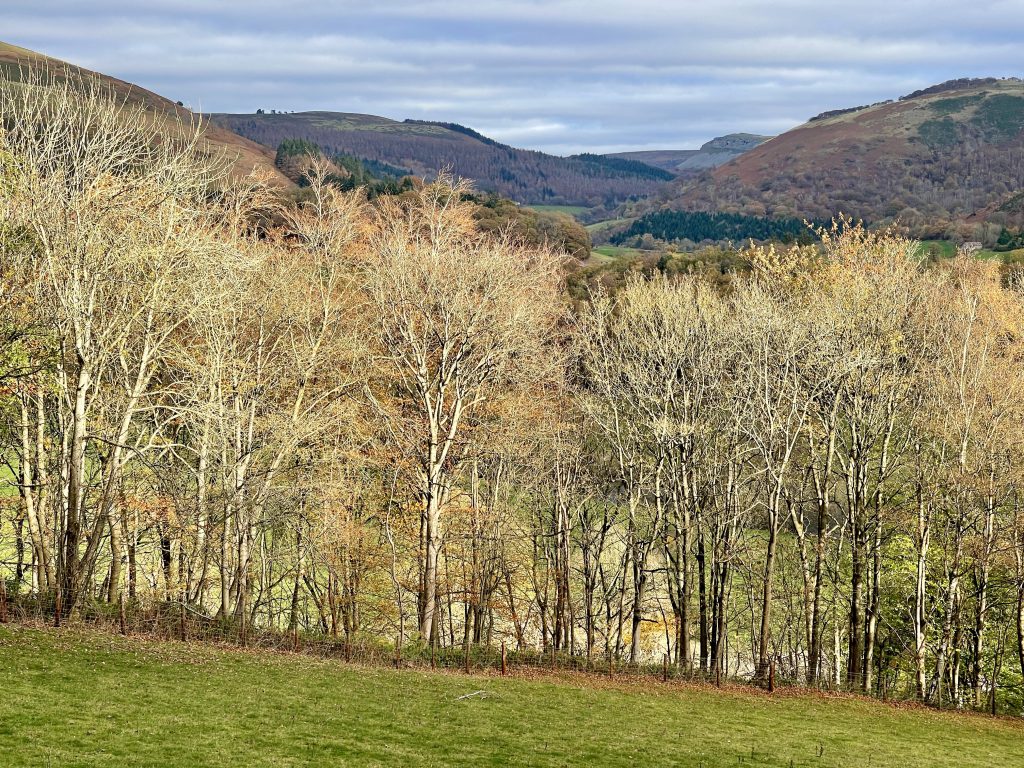 Near Llangollen