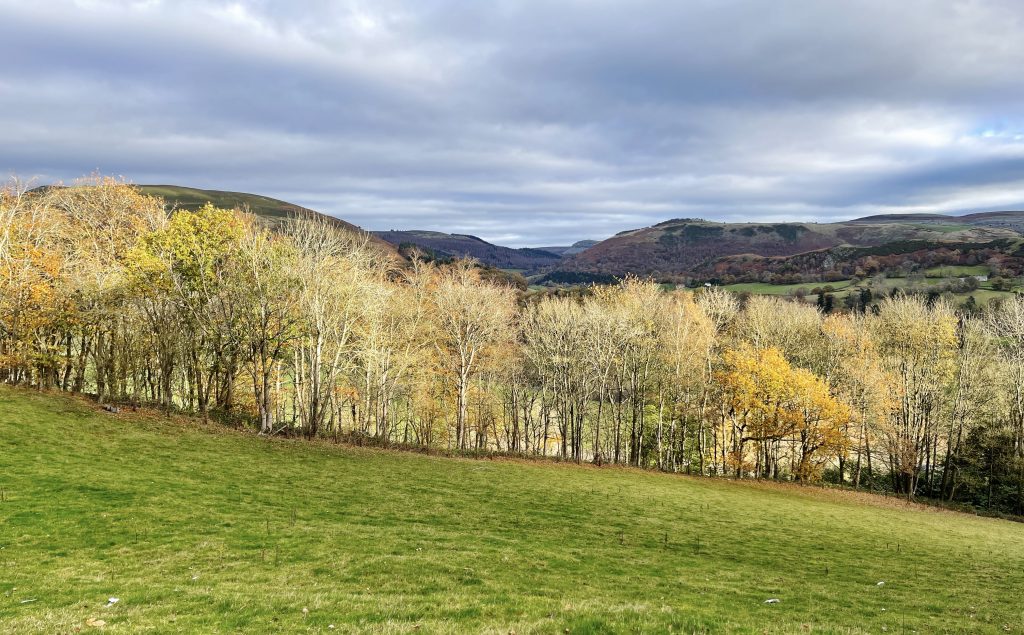 Near Llangollen