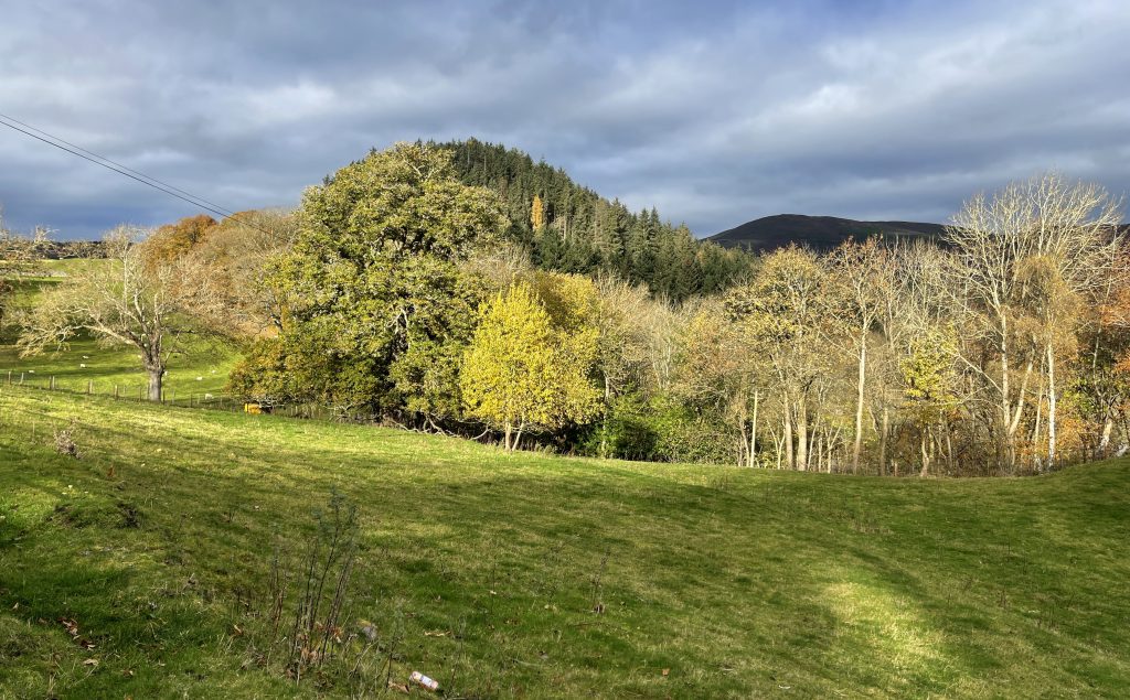 Near Llangollen