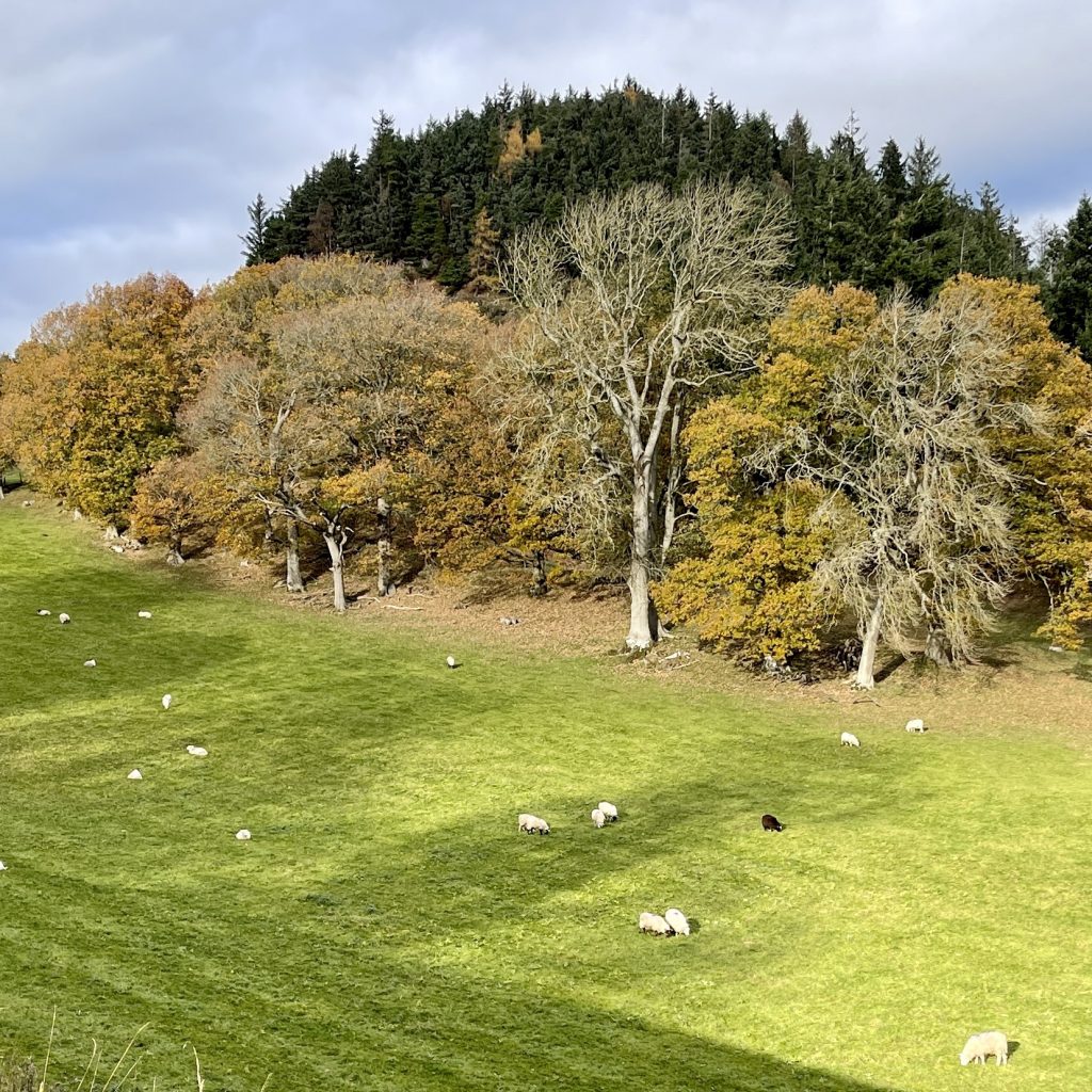 Near Llangollen