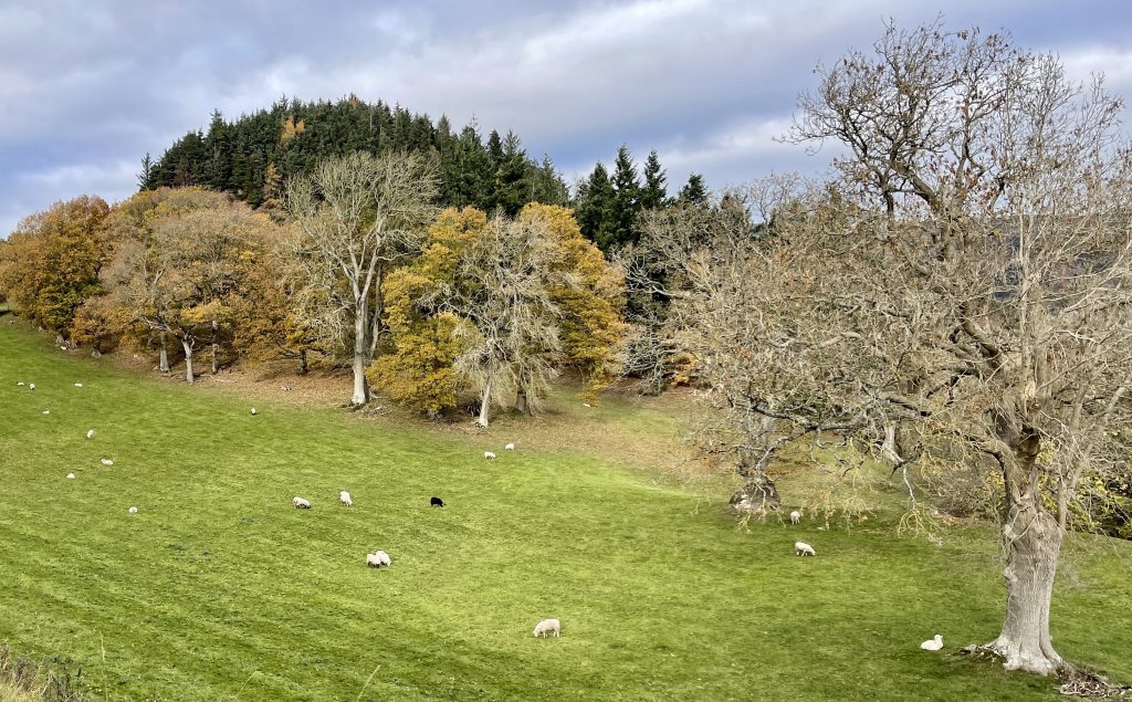 Near Llangollen