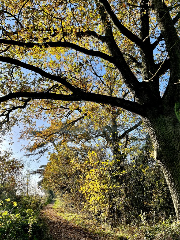 Sleaford Canal walk