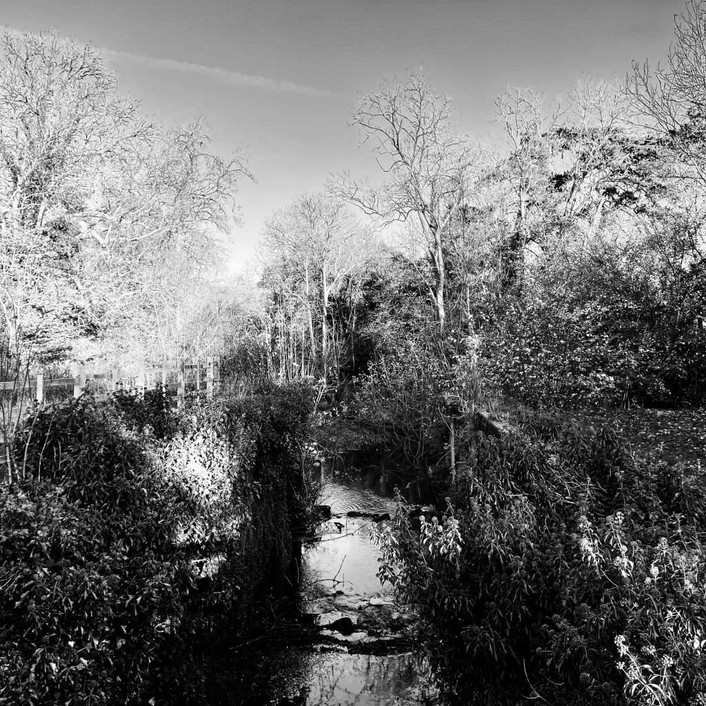 Sleaford Canal disused lock