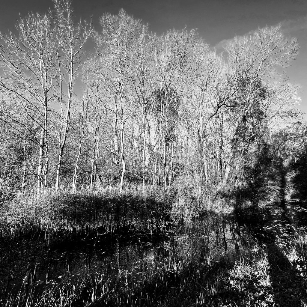 Sleaford Canal