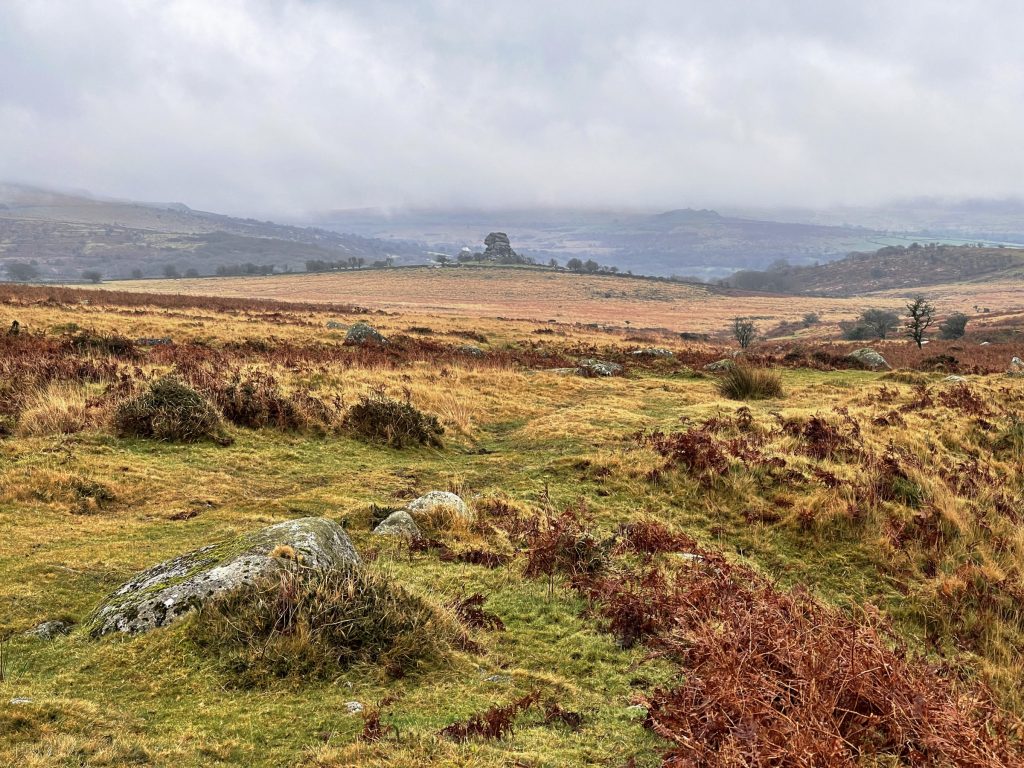 Dartmoor 