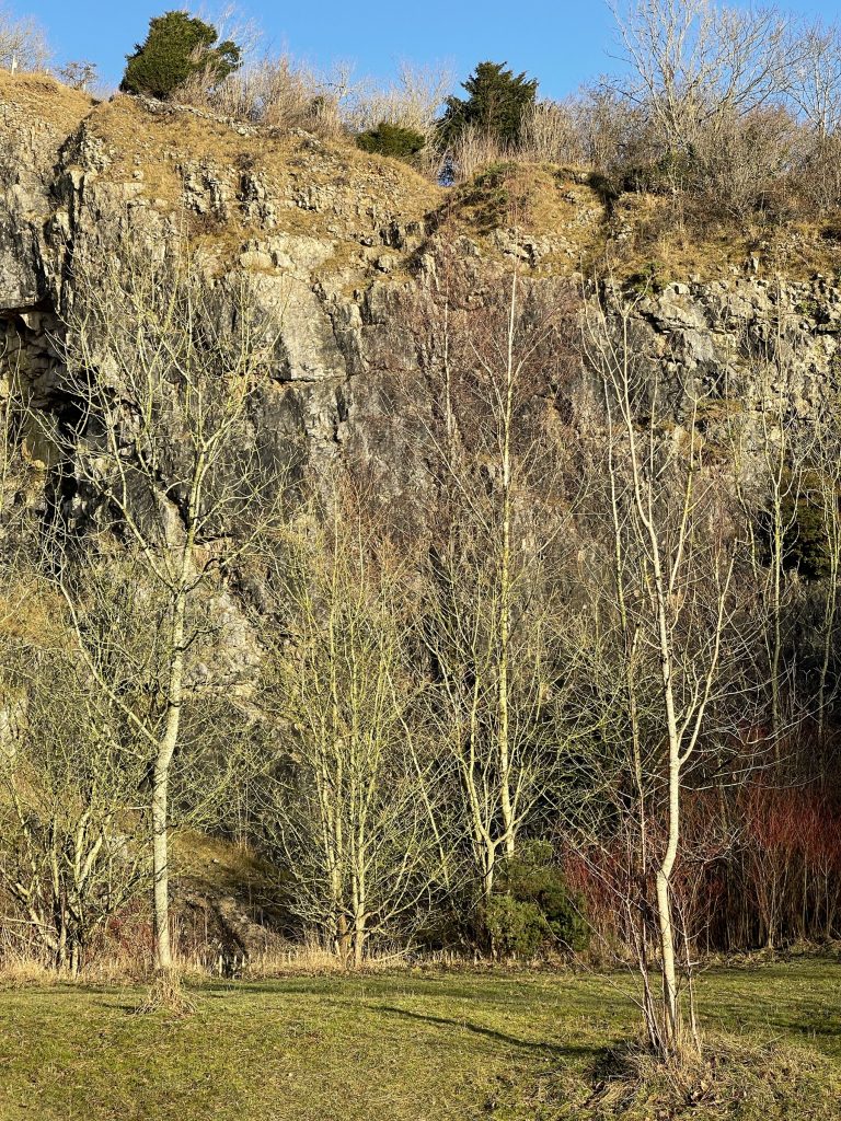 Warton Crag