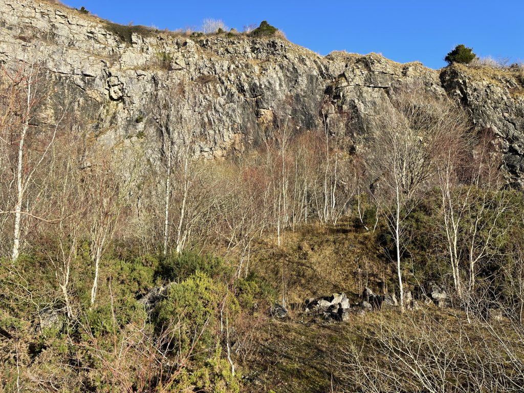 Warton Quarry