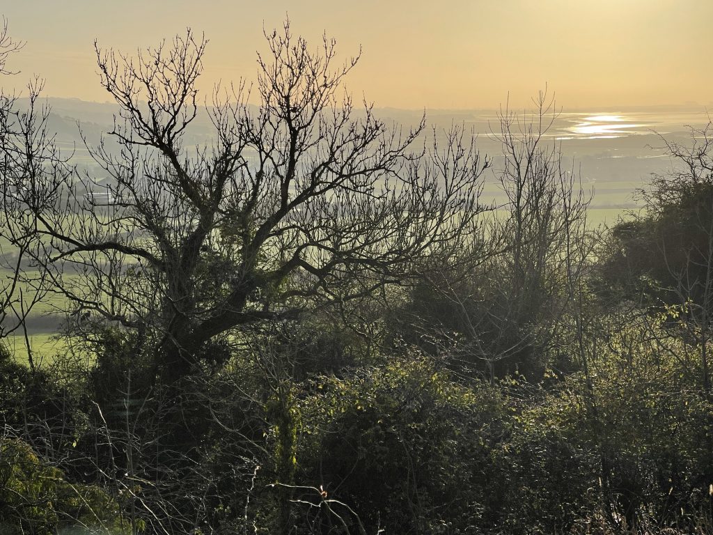 Warton Crag​