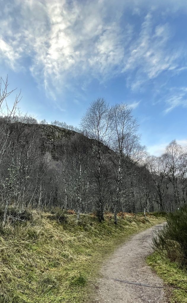 Craigellachie National Nature Reserve