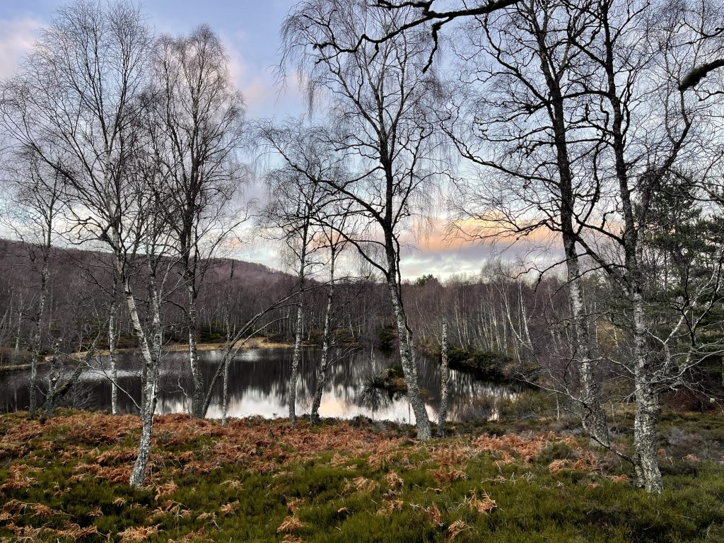 Craigellachie National Nature Reserve