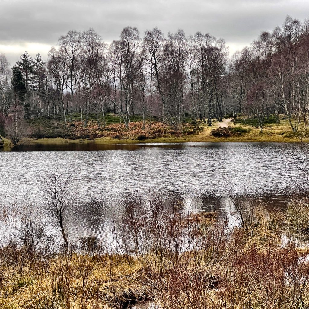 Craigellachie National Nature Reserve