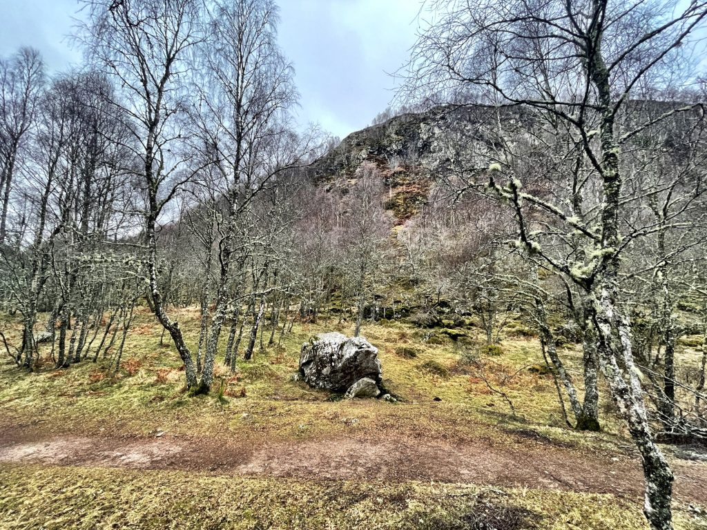 Craigellachie National Nature Reserve