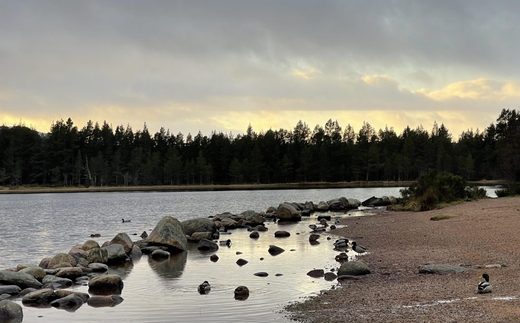 Loch Morlich​