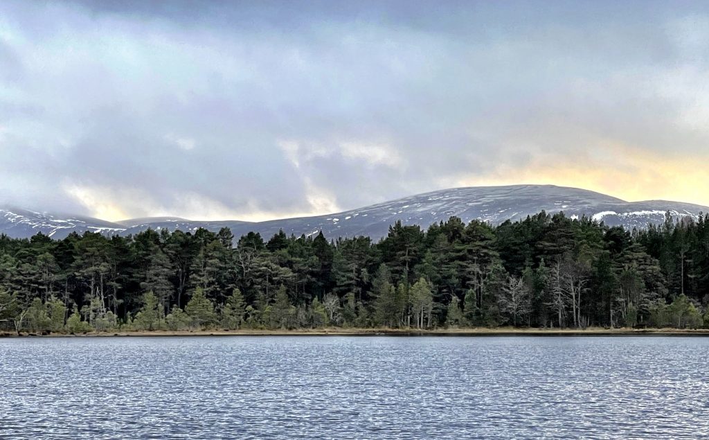 Loch Morlich​