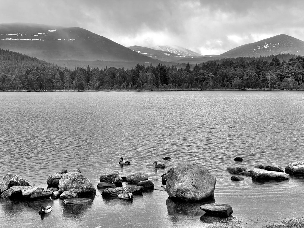 Loch Morlich​