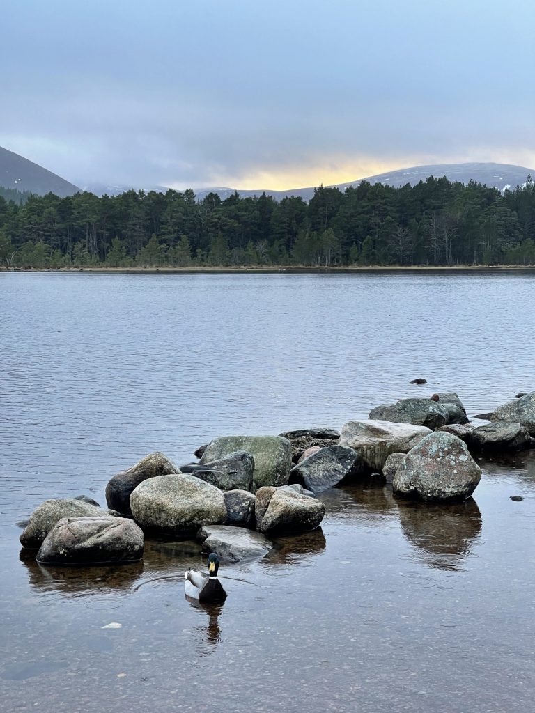 Loch Morlich​