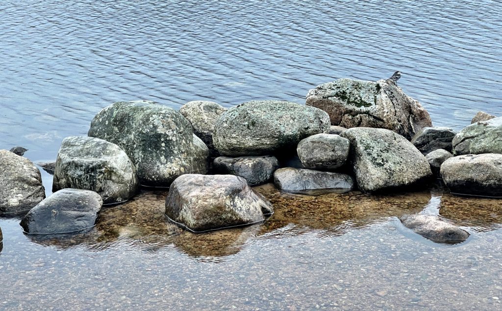 Loch Morlich​