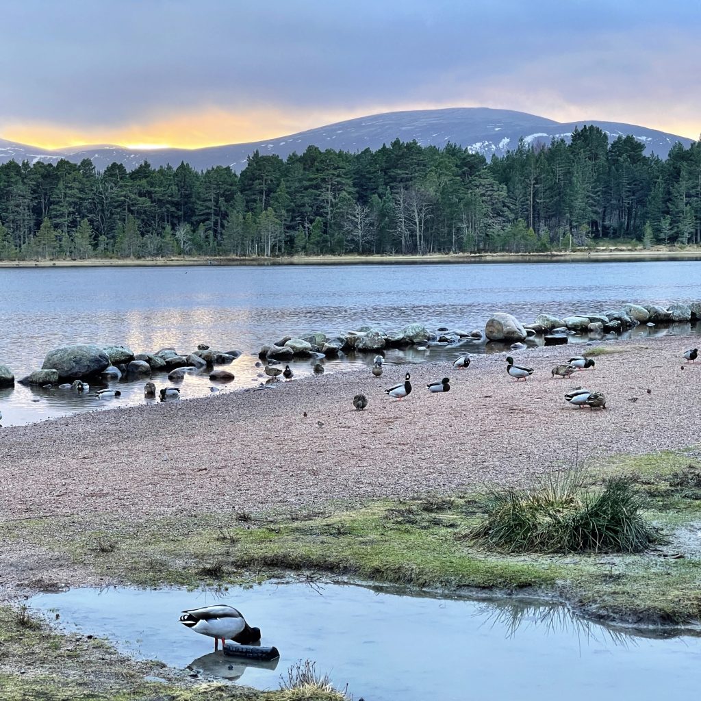 Loch Morlich​