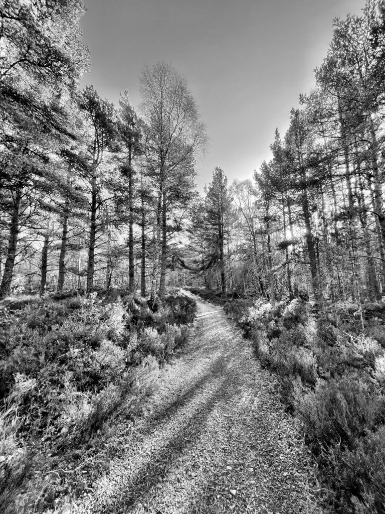 Abernethy Nature Reserve