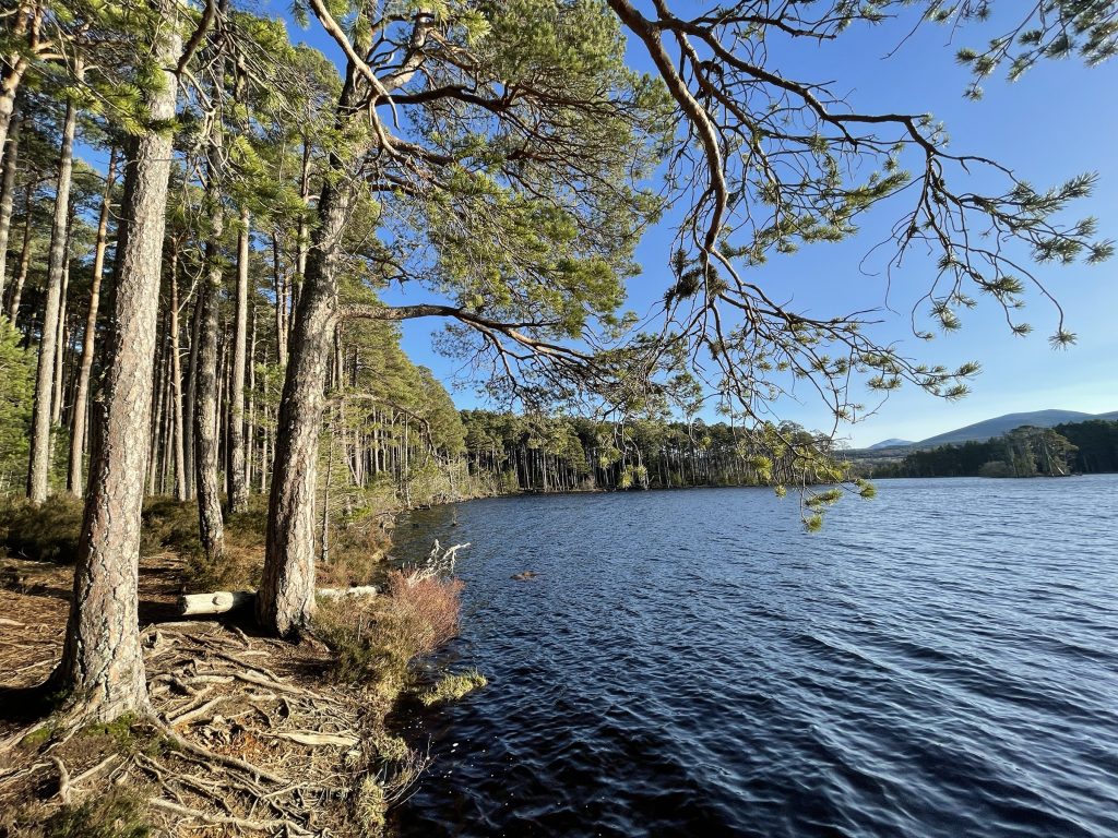 Loch Mallachie