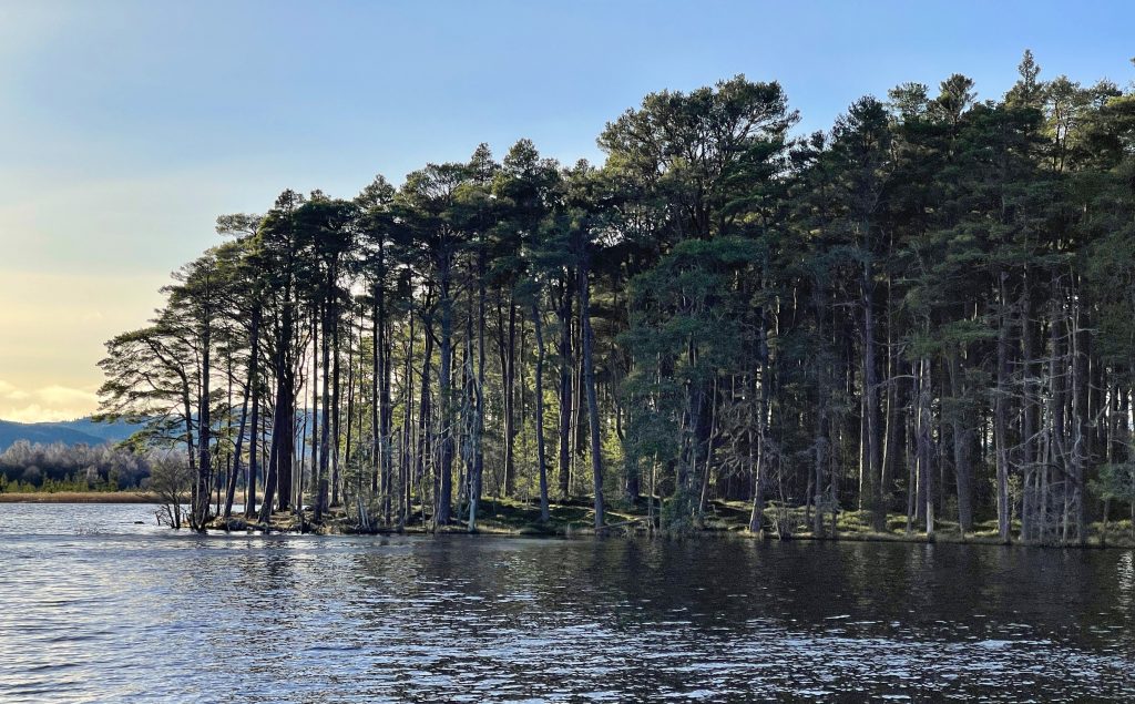 Loch Mallachie