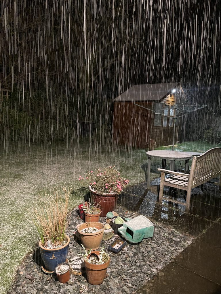 The shed in the snow