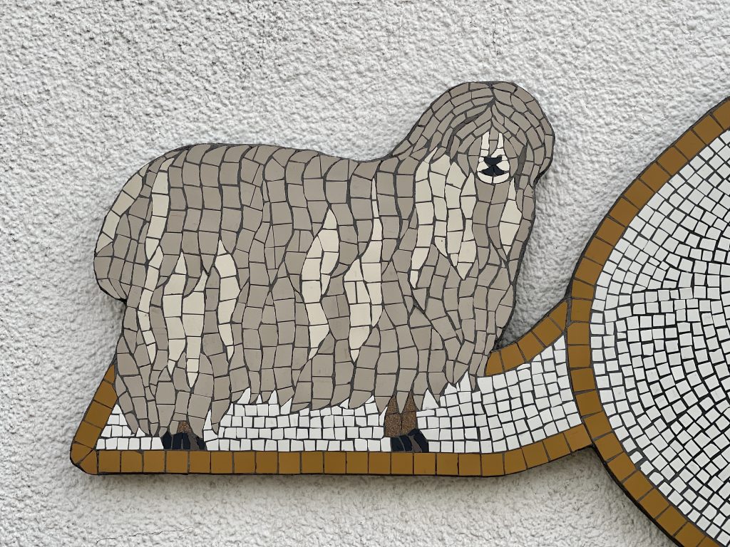 Mosaic sheep​