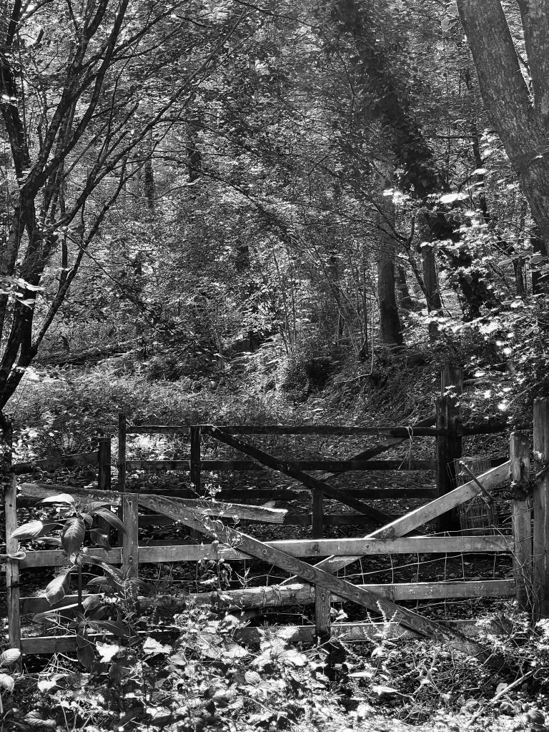 Gate and country walk