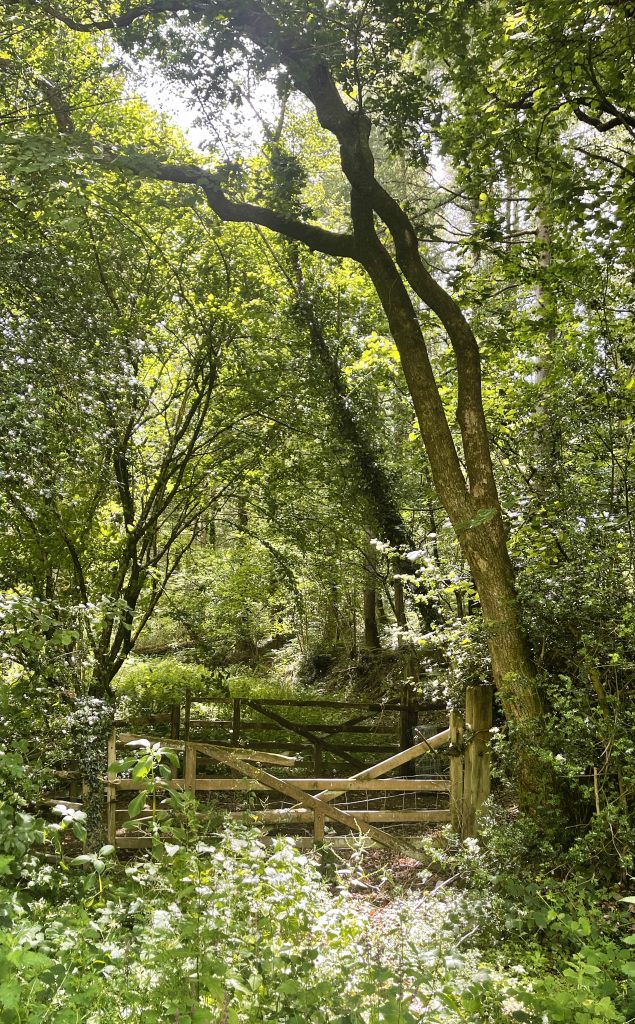 Gate and country walk