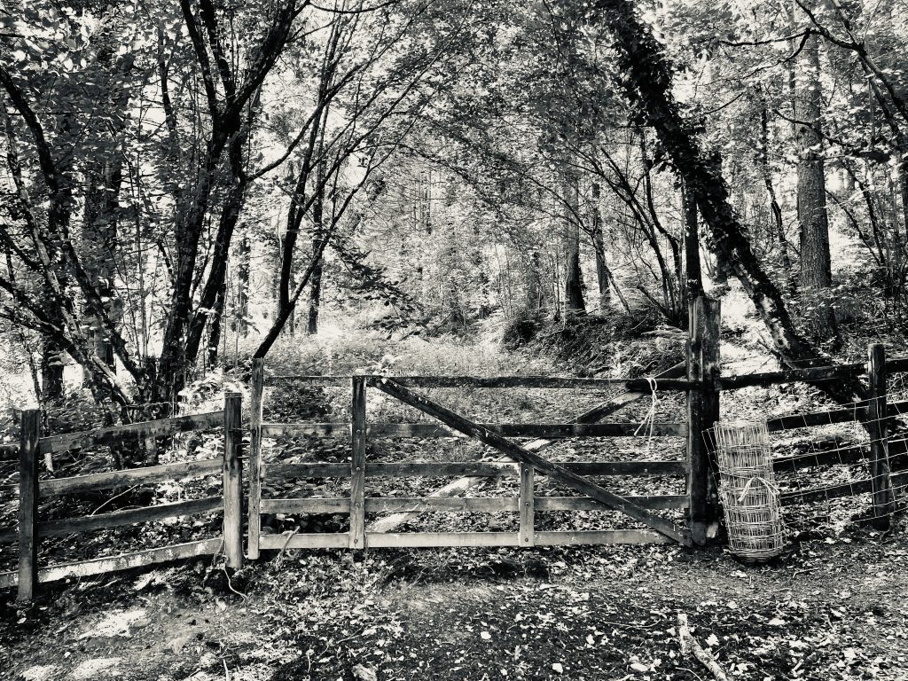 Gate and country walk