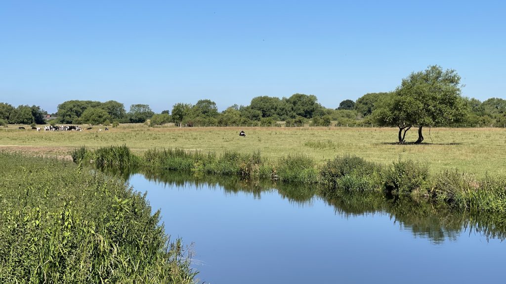 River Trent