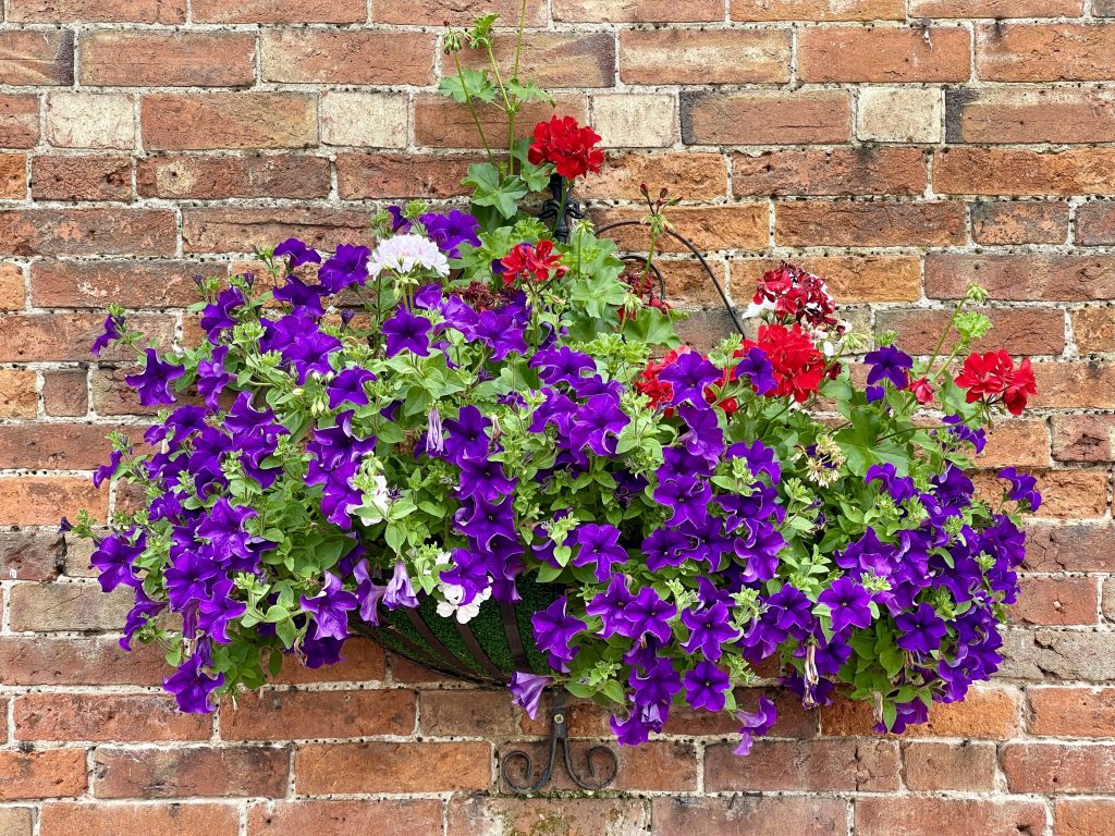 Flower basket on a wall