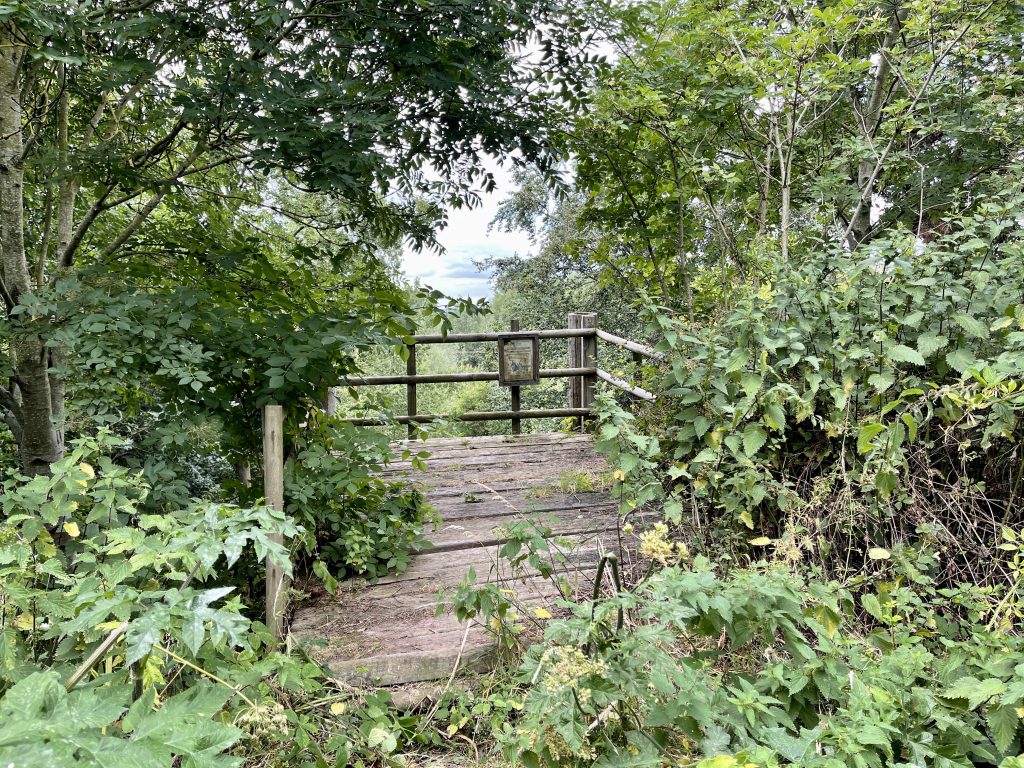 Swarbourne Meadows viewing platform 