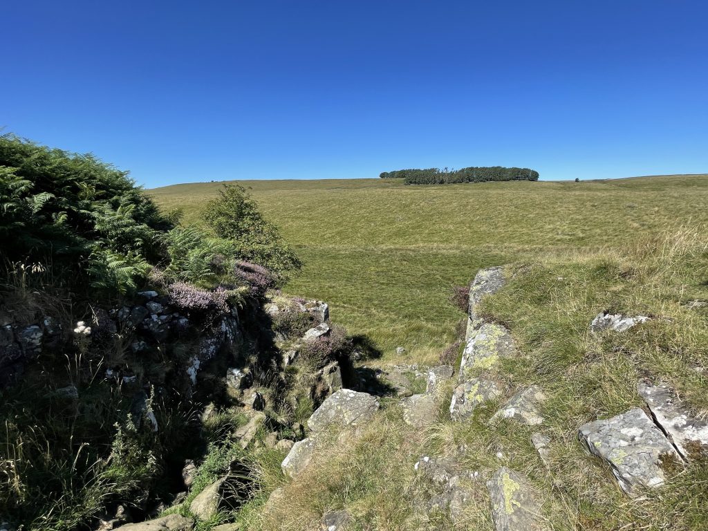 Hadrian’s Wall