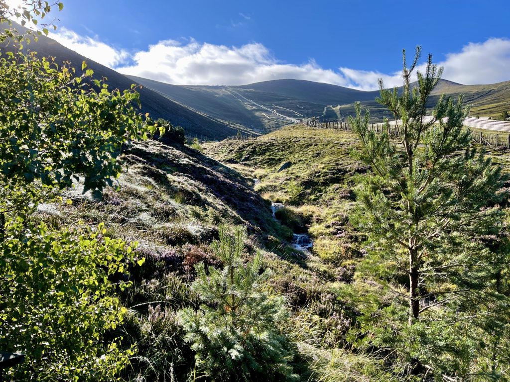 Cairngorm Mountains