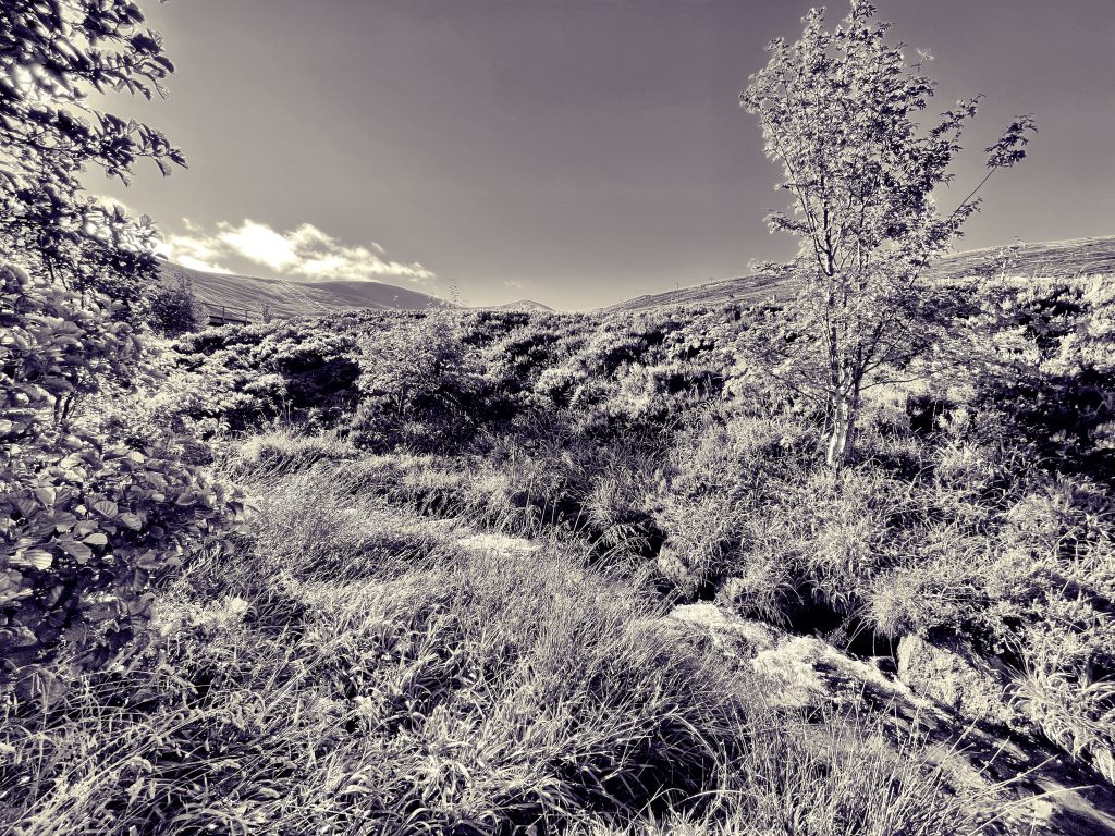 Cairngorm Mountains