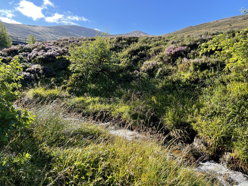 Cairngorm Mountains