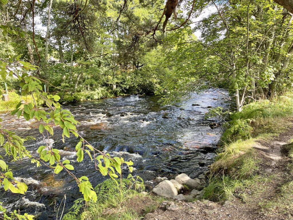 River Nethy