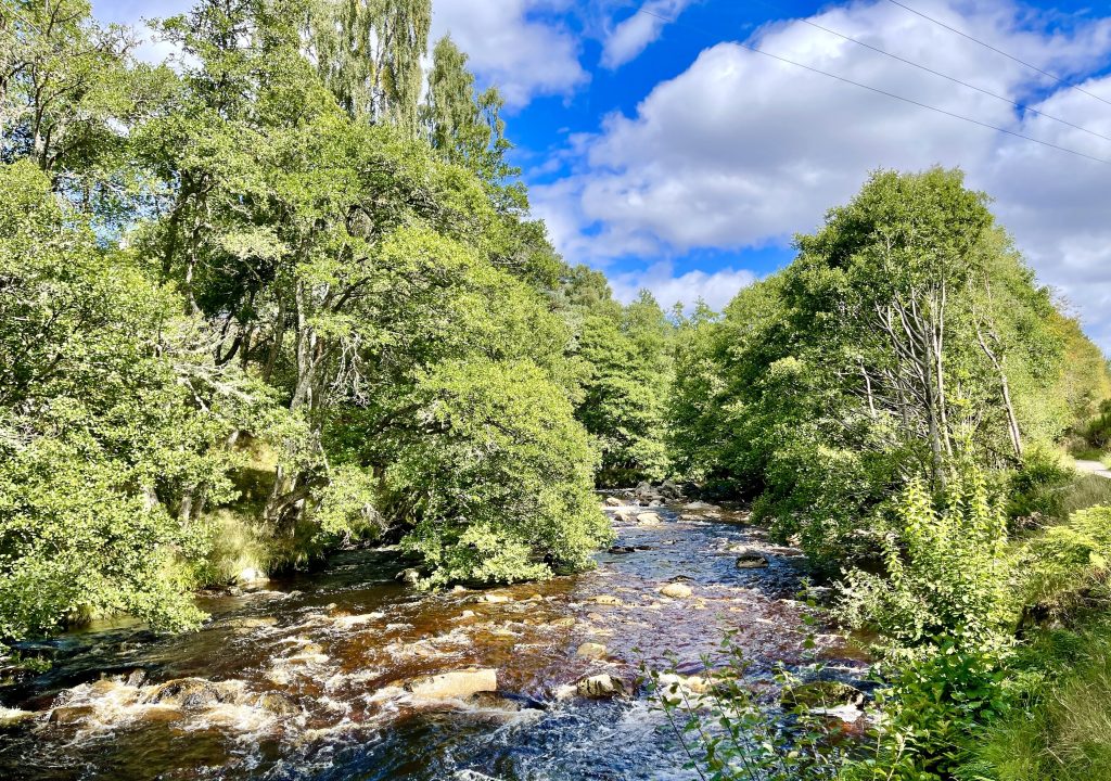 River Nethy