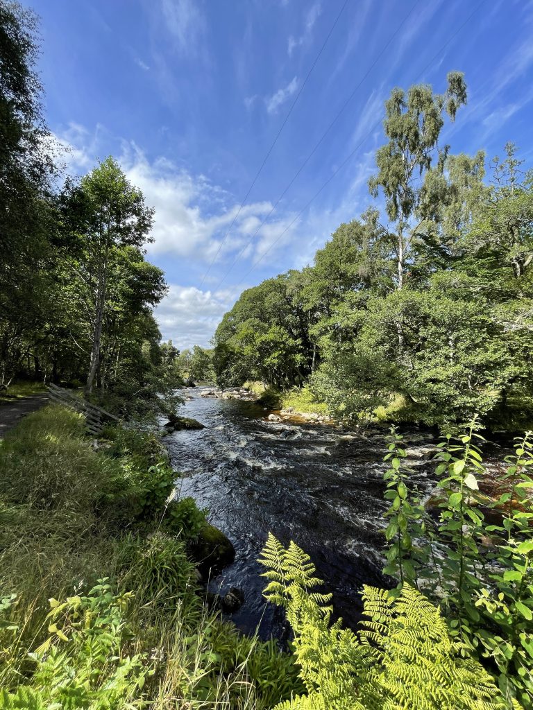 River Nethy