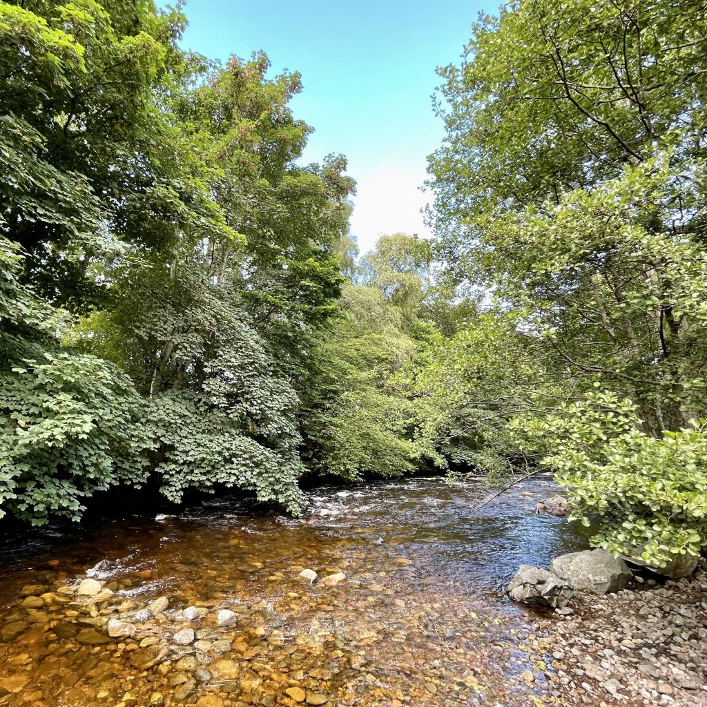 River Nethy